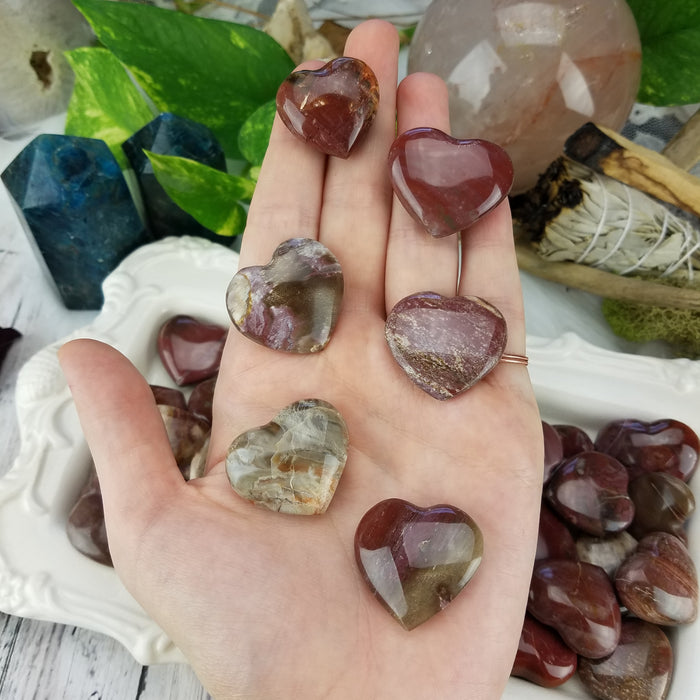 Petrified Wood Hearts