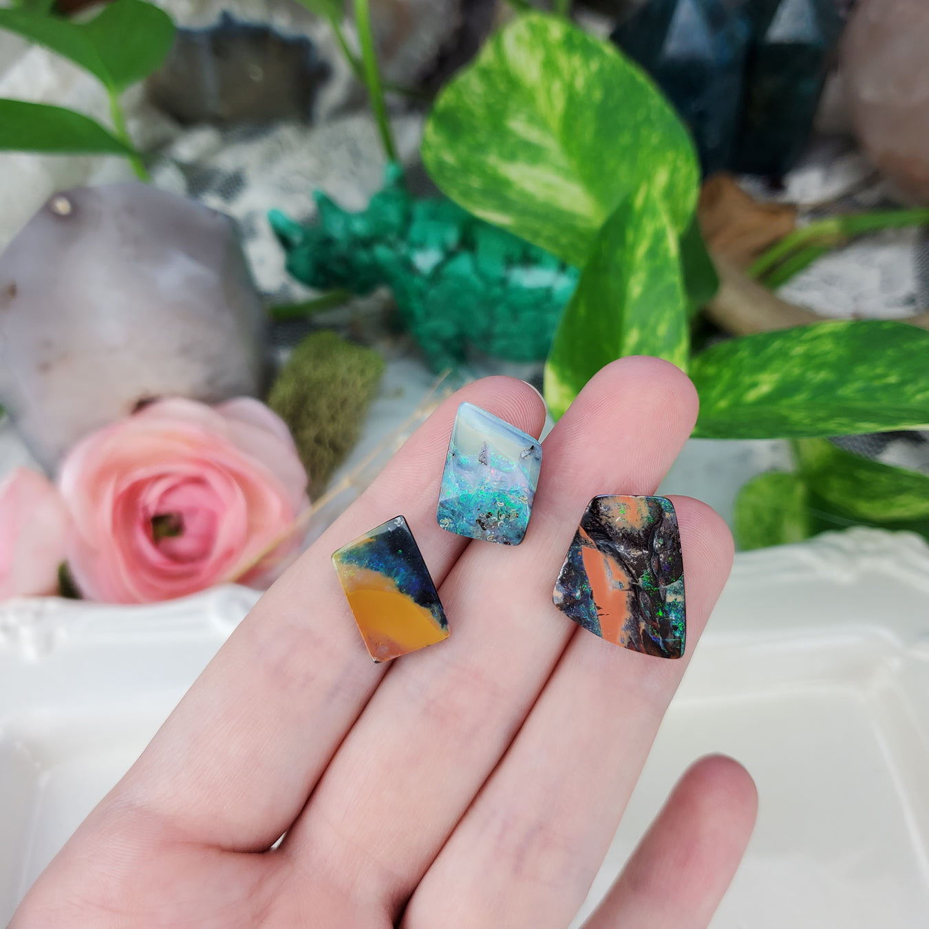 Shop Sets
