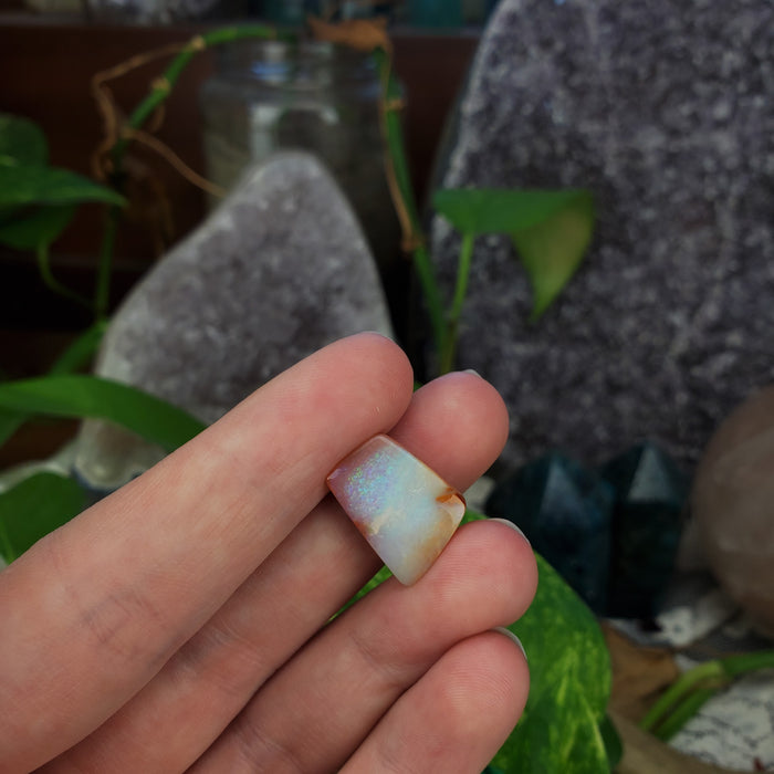 Koroit Boulder Opal Cabochon, 6