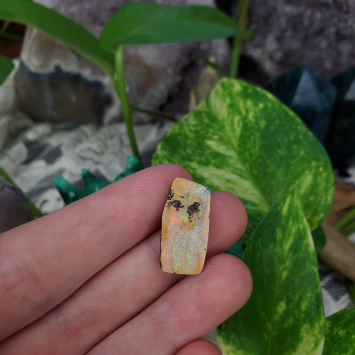 Koroit Boulder Opal Cabochon, 12