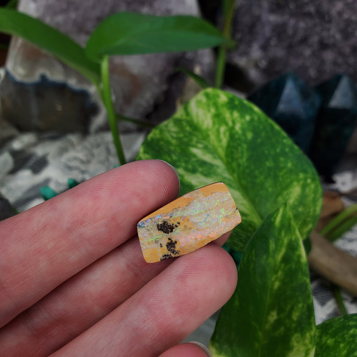 Koroit Boulder Opal Cabochon, 12