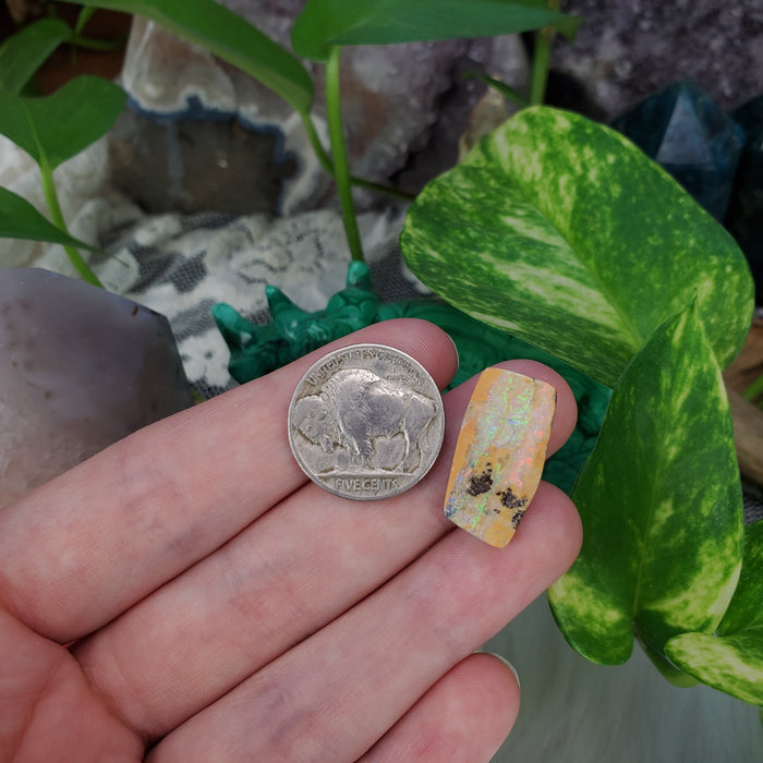 Koroit Boulder Opal Cabochon, 12