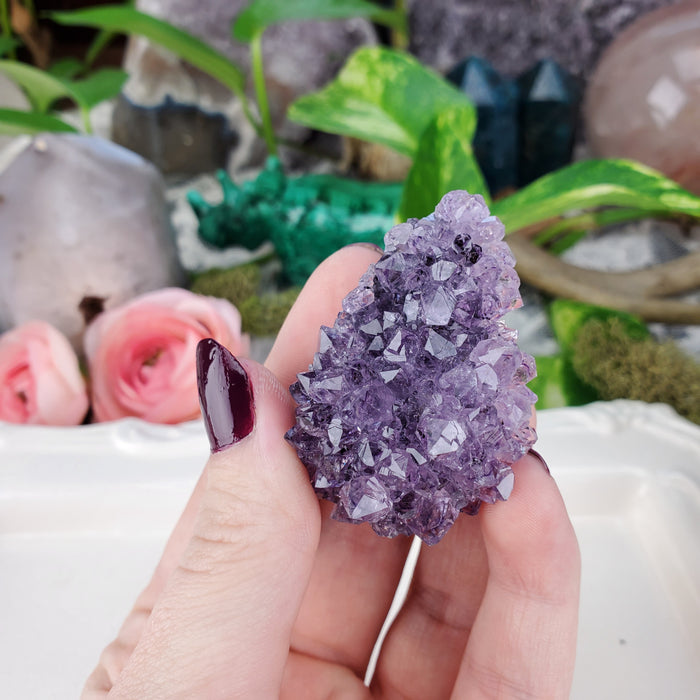 Uruguay Amethyst Clusters, small