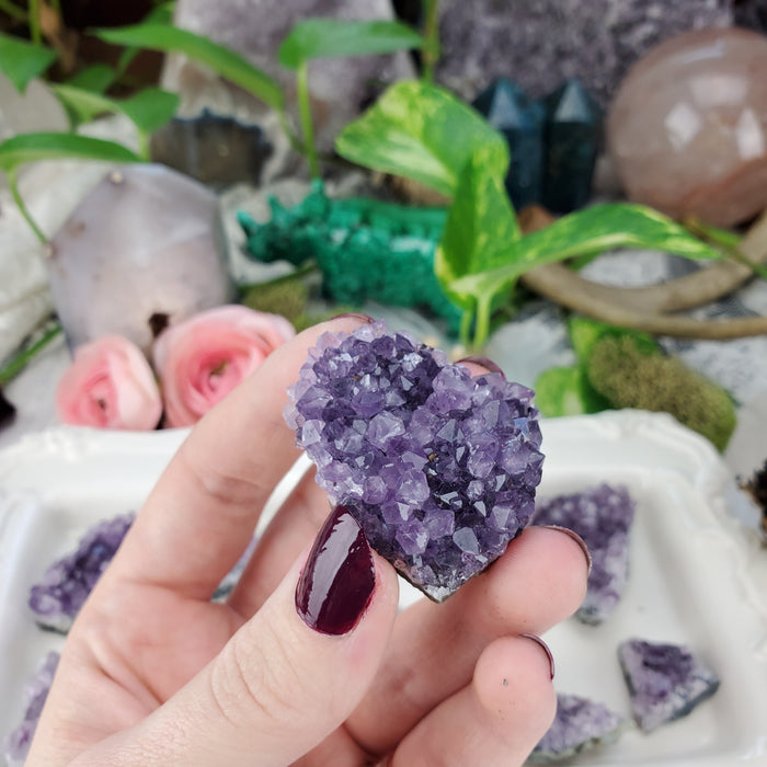 Uruguay Amethyst Clusters, small