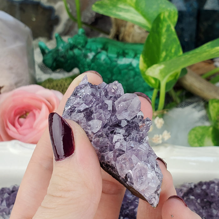 Uruguay Amethyst Clusters, small