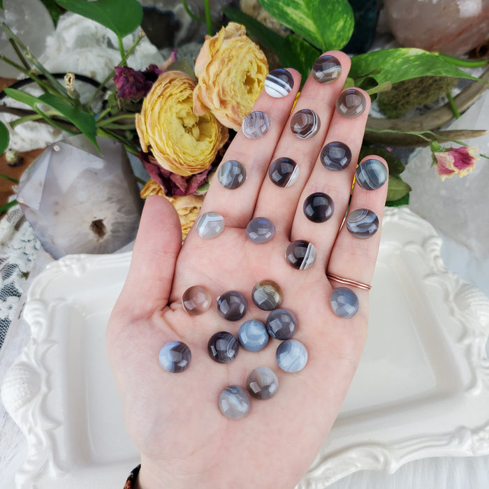 Botswana Agate Round Cabochons