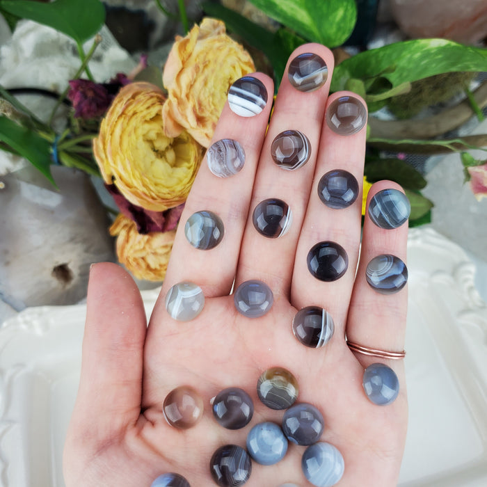 Botswana Agate Round Cabochons