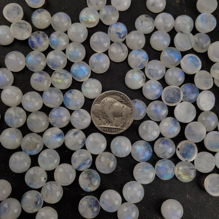 Moonstone Round Cabochons, 10mm