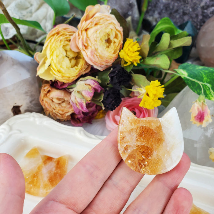 Citrine Cat Heads, Heat Treated, Medium