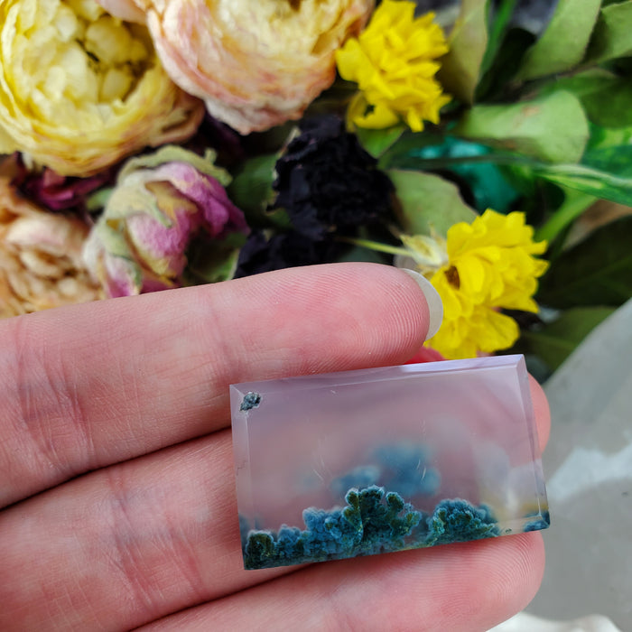 Moss Agate Rectangle Cabochons