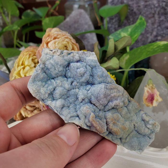 Aura Chalcedony Roses, Extra Large