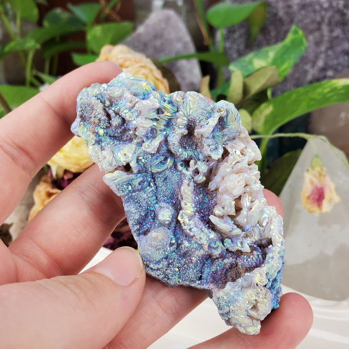 Aura Chalcedony Roses, Extra Large