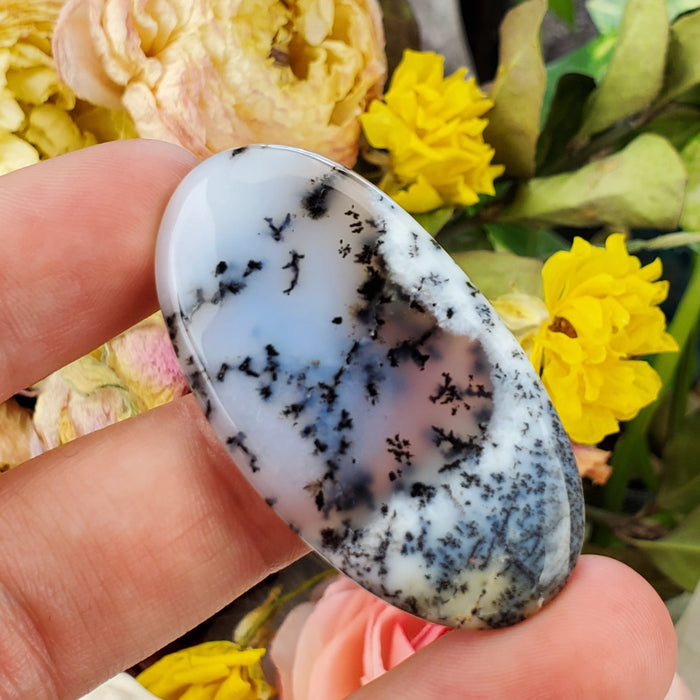 Dendritic Opal Cabochons