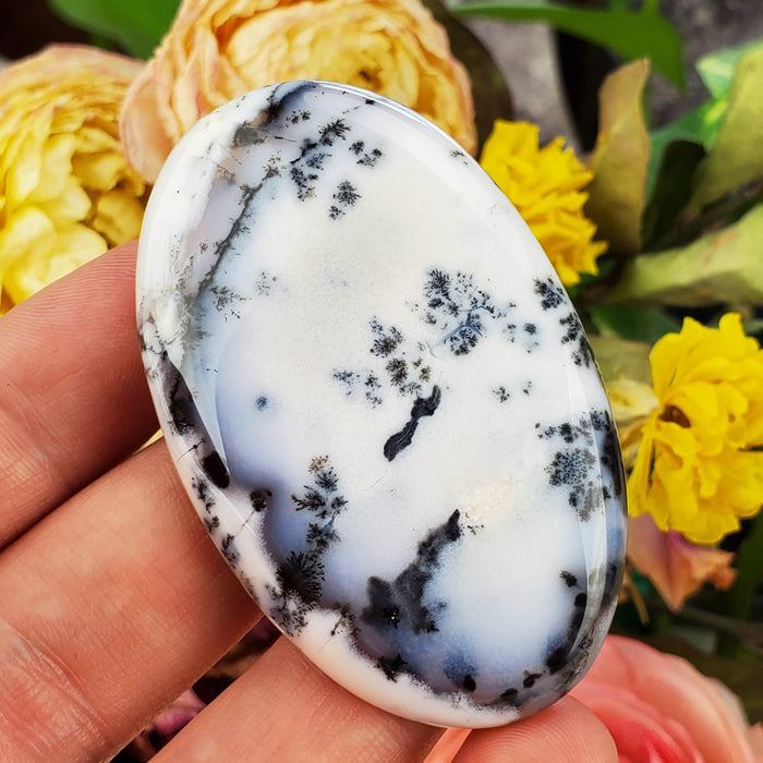 Dendritic Opal Cabochons