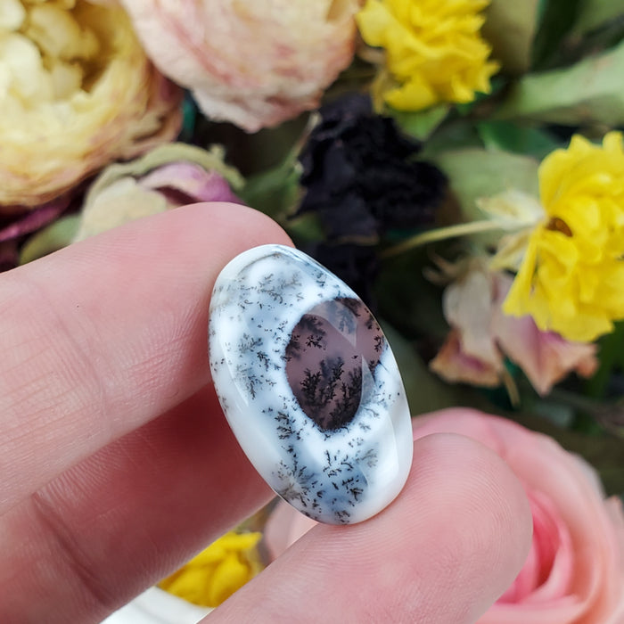 Dendritic Opal Cabochons