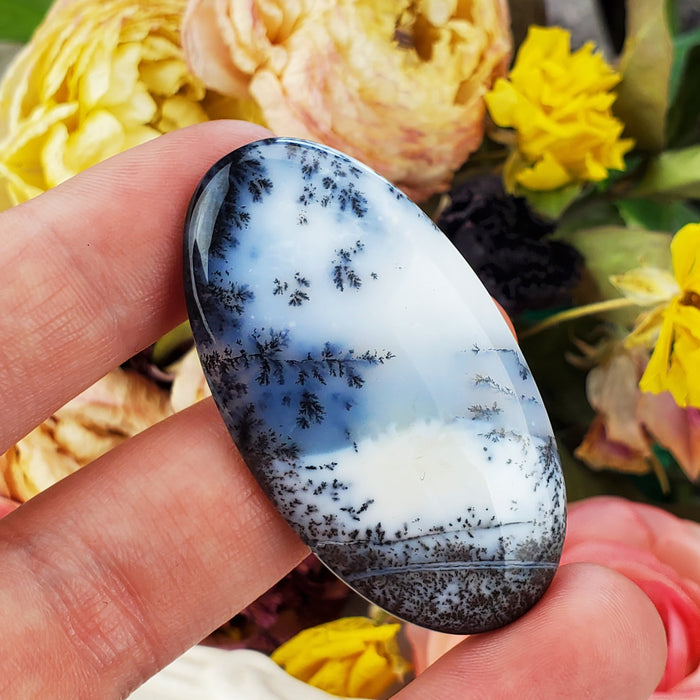 Dendritic Opal Cabochons