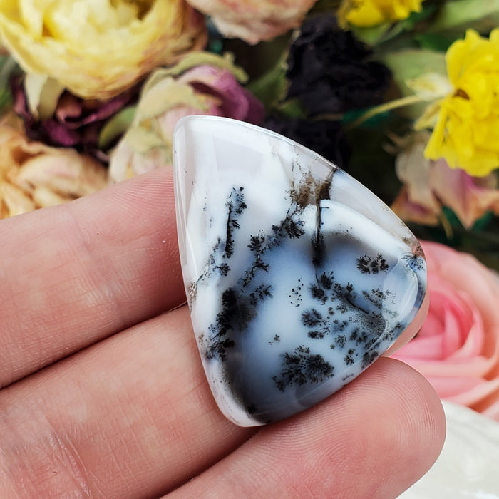 Dendritic Opal Cabochons