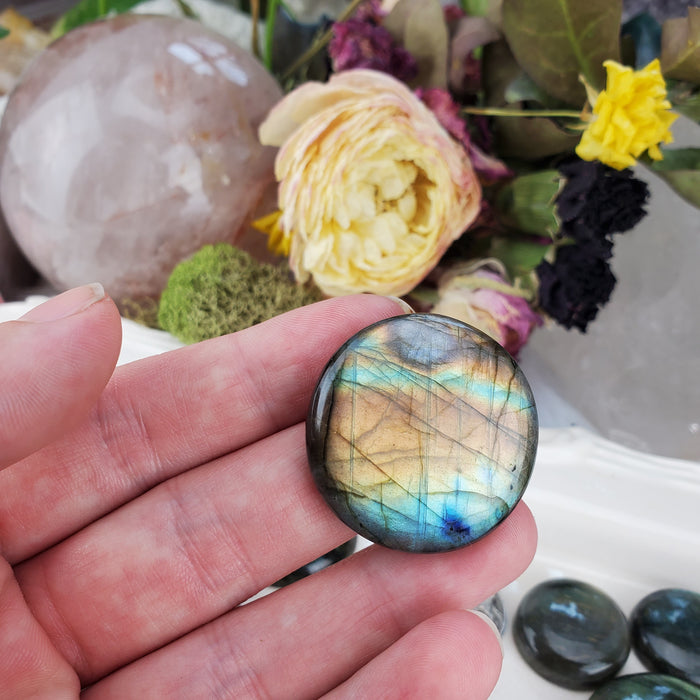 Labradorite Round Cabochons