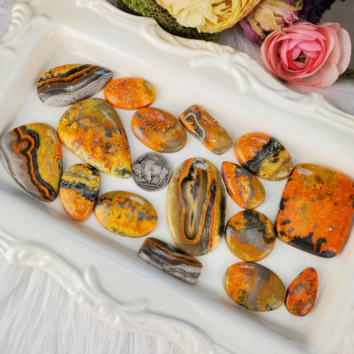 Bumblebee Jasper Cabochons