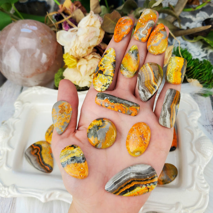 Bumblebee Jasper Cabochons