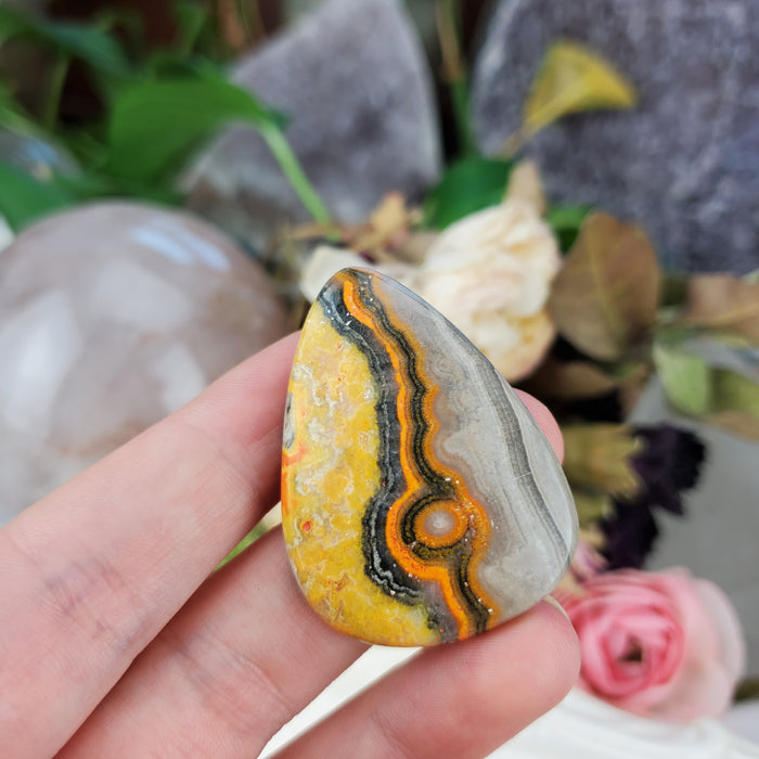 Bumblebee Jasper Cabochons