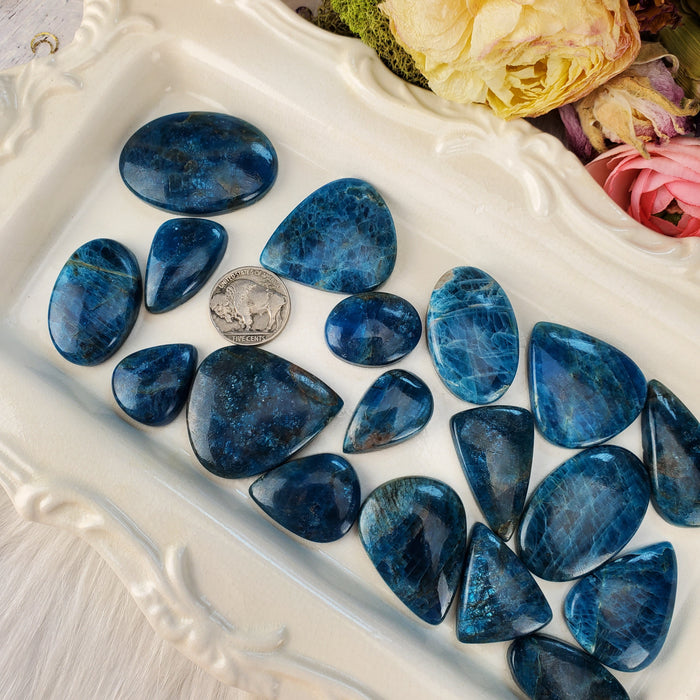 Blue Apatite Cabochons