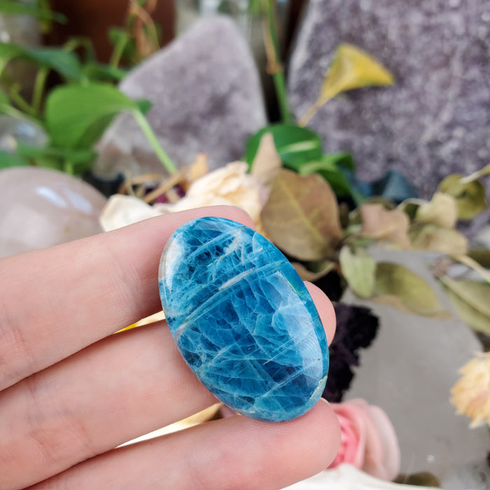 Blue Apatite Cabochons