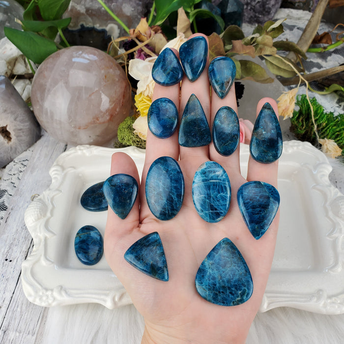 Blue Apatite Cabochons