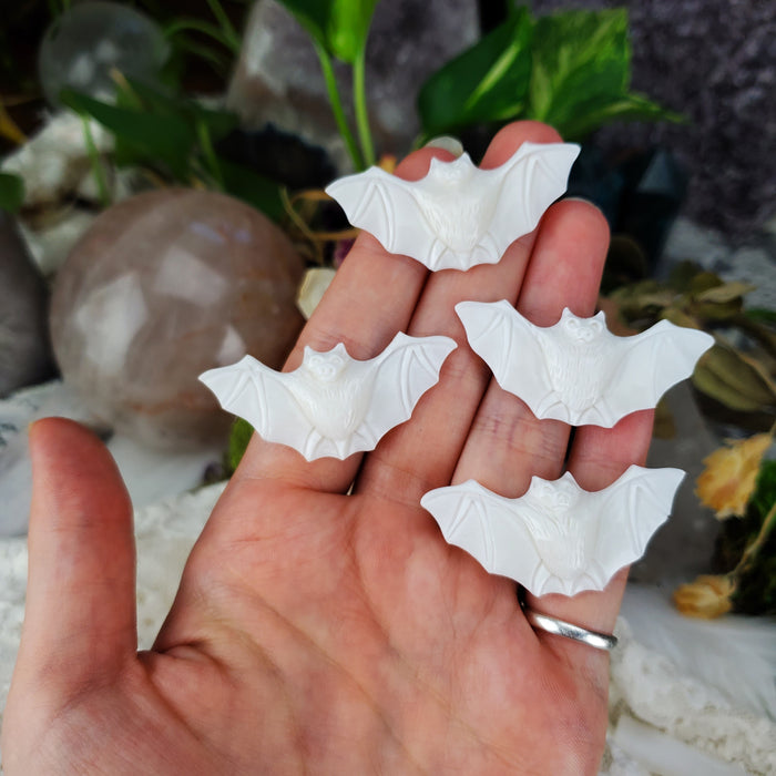 Bone Carved Bat Cabochons