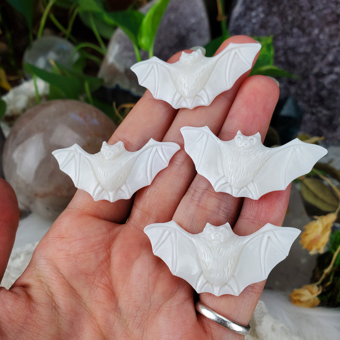 Bone Carved Bat Cabochons