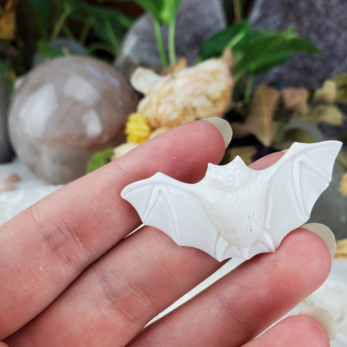 Bone Carved Bat Cabochons