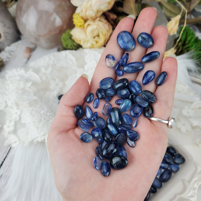 Blue Kyanite Cabochons