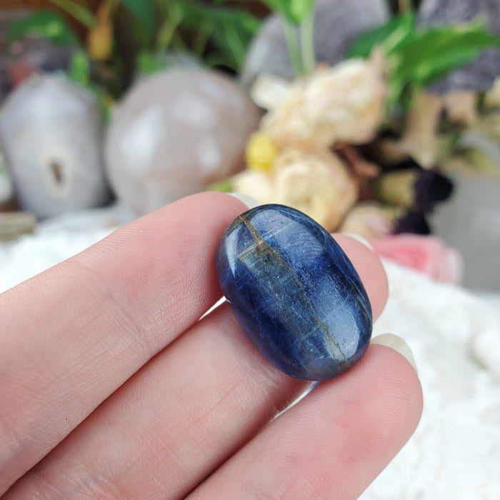 Blue Kyanite Cabochons