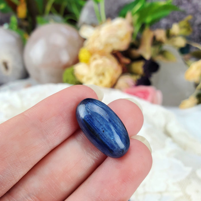 Blue Kyanite Cabochons