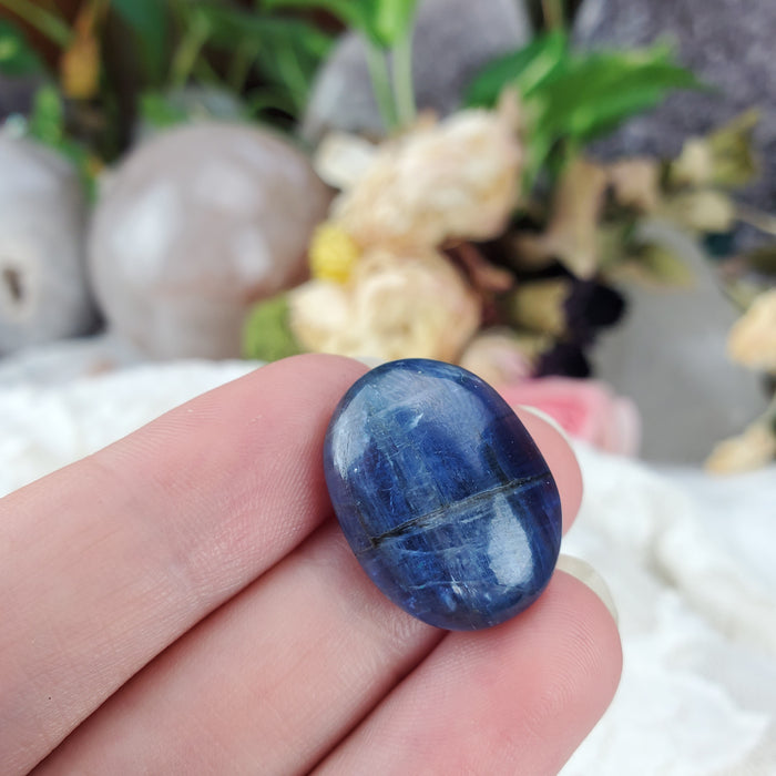 Blue Kyanite Cabochons