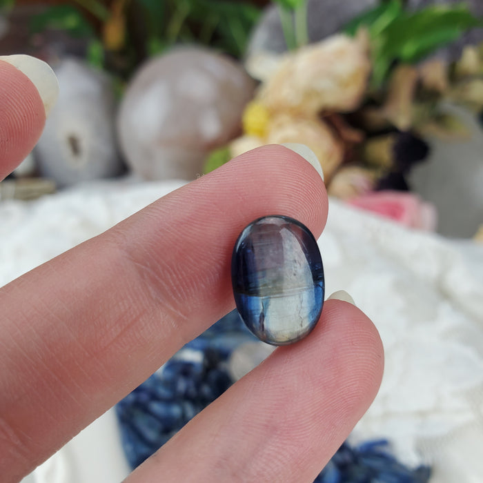 Blue Kyanite Cabochons