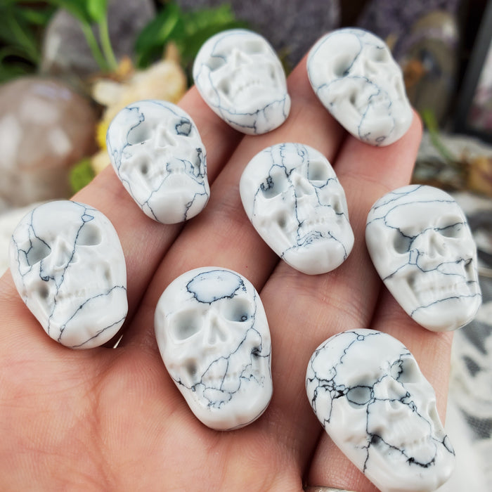 Howlite Skull Carving Cabochons, stabilized