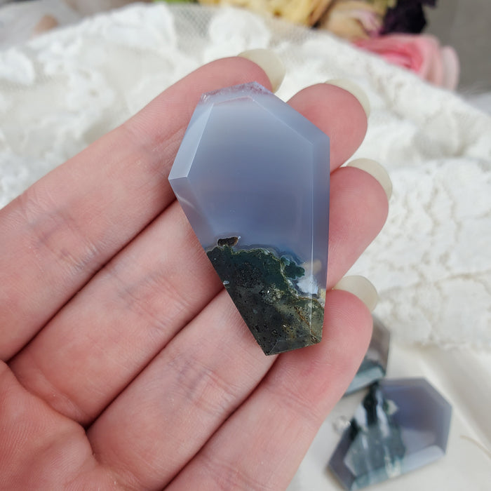 Moss Agate Coffin Cabochons, blue/grey