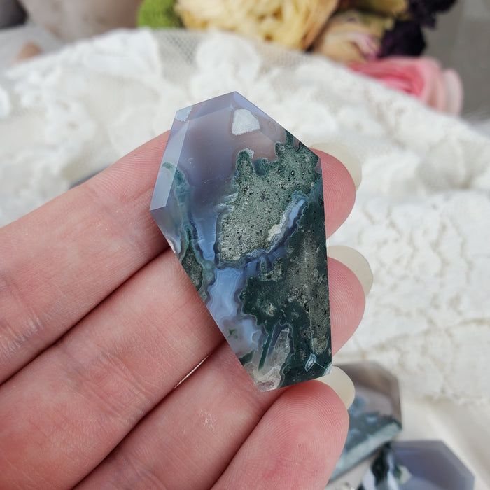 Moss Agate Coffin Cabochons, blue/grey