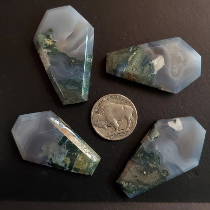 Moss Agate Coffin Cabochons, blue/grey