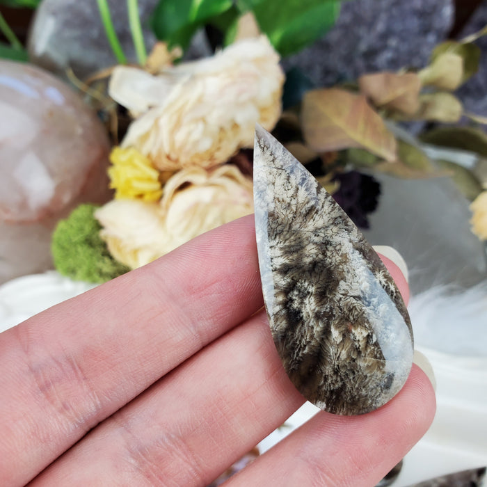 Plume Agate Teardrop Cabochons