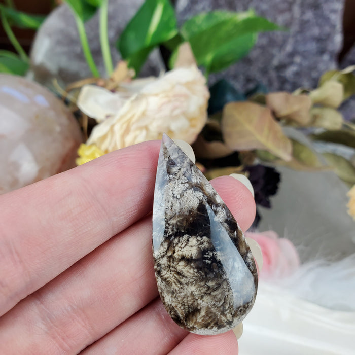 Plume Agate Teardrop Cabochons