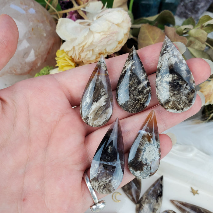 Plume Agate Teardrop Cabochons