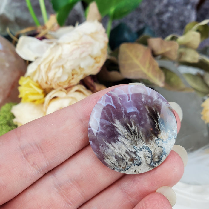 Plume Agate Round Cabochons