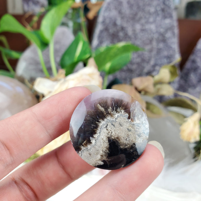 Plume Agate Round Cabochons