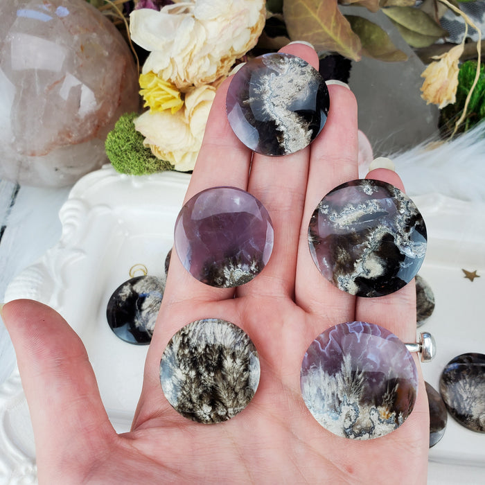 Plume Agate Round Cabochons