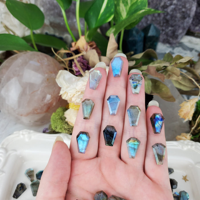 Labradorite Coffin Cabochons, small