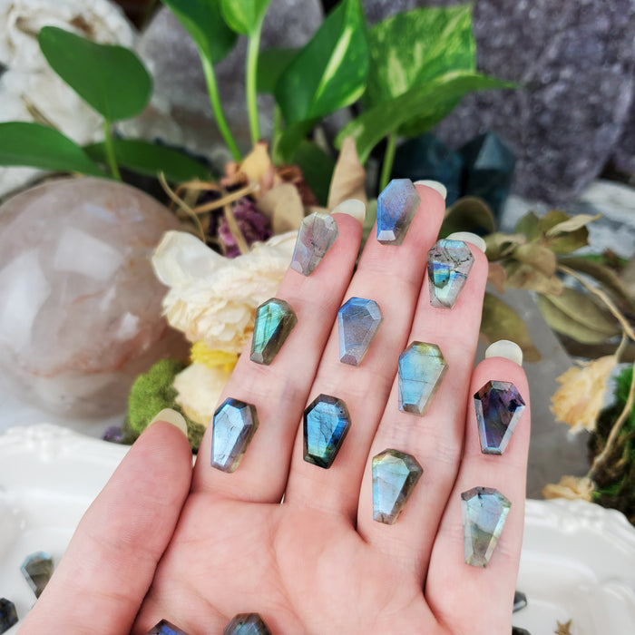 Labradorite Coffin Cabochons, small