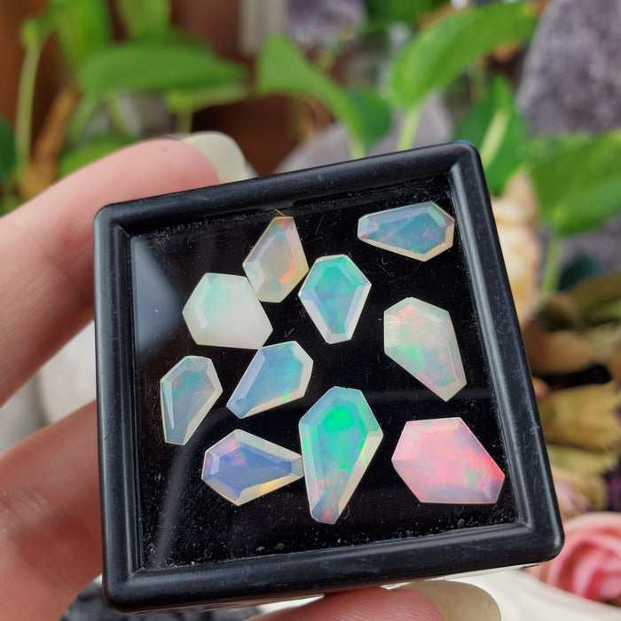 Welo Opal Coffin Facets