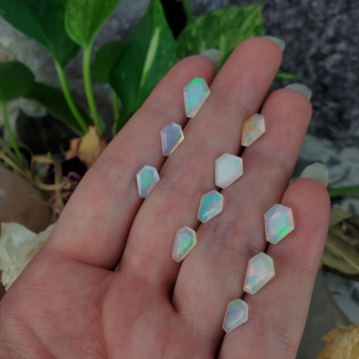 Welo Opal Coffin Facets